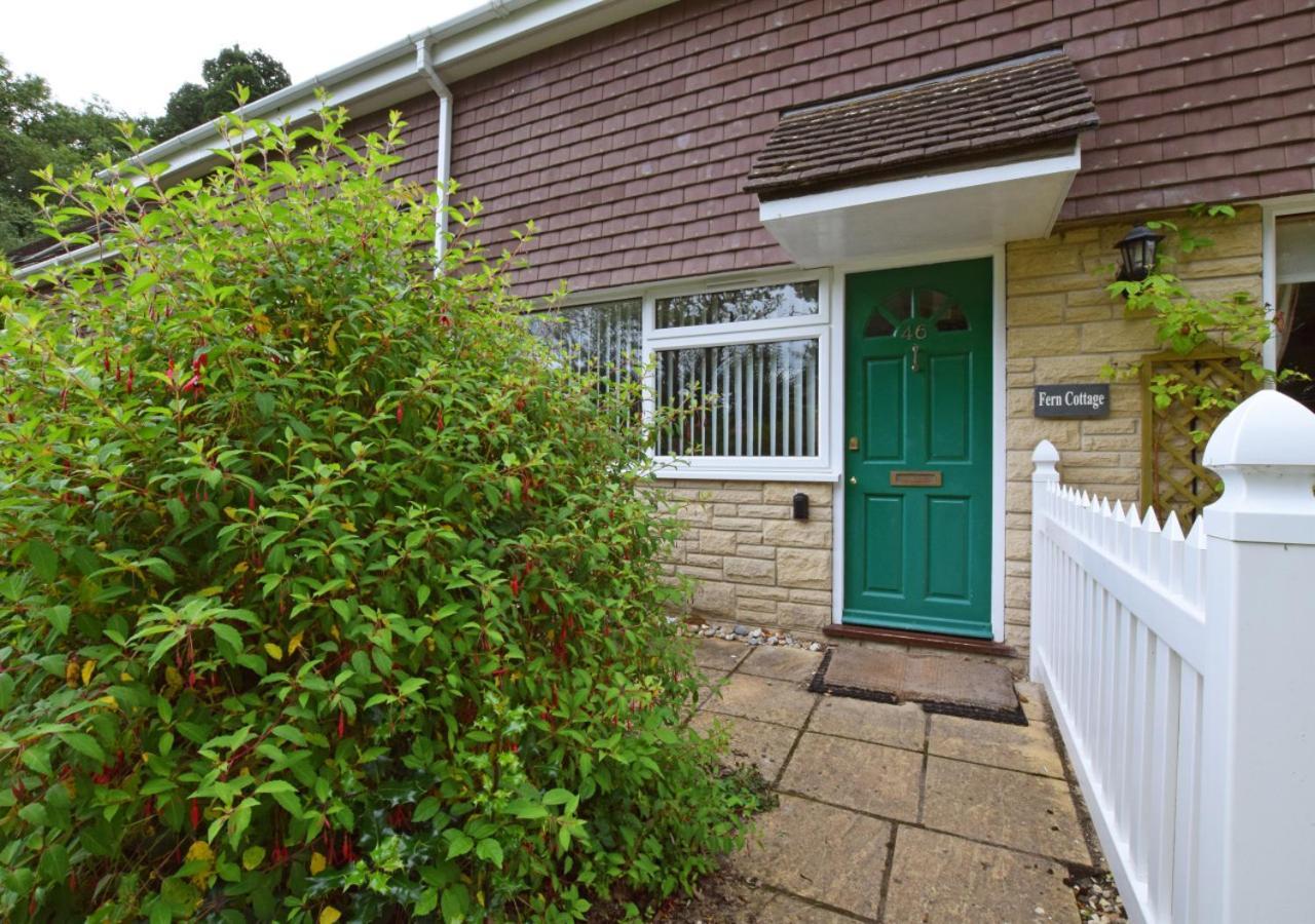 Fern Cottage Charmouth Εξωτερικό φωτογραφία